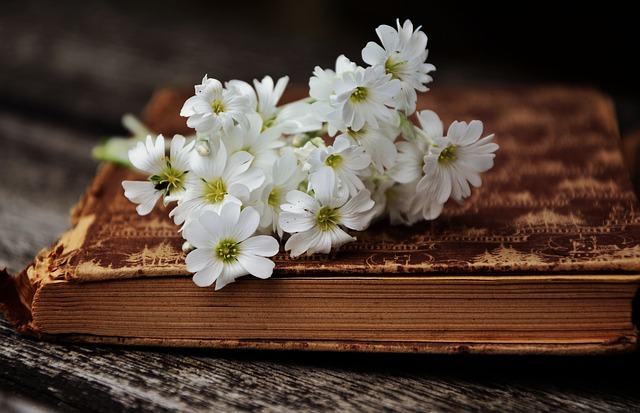 White flowers lying on a closed book
